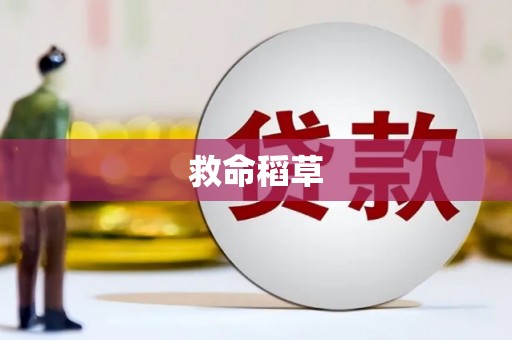 圣安多尼堂区救命稻草