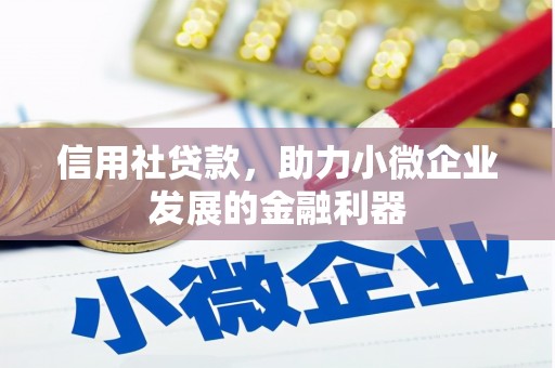 圣安多尼堂区信用社贷款，助力小微企业发展的金融利器