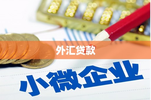 圣安多尼堂区外汇贷款