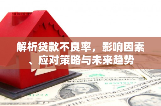 圣安多尼堂区解析贷款不良率，影响因素、应对策略与未来趋势