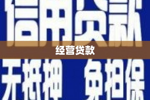 圣安多尼堂区经营贷款