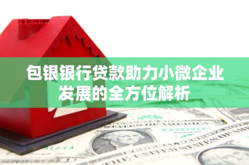 圣安多尼堂区包银银行贷款助力小微企业发展的全方位解析