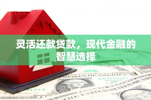 圣安多尼堂区灵活还款贷款，现代金融的智慧选择