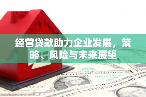 圣安多尼堂区经营贷款助力企业发展，策略、风险与未来展望