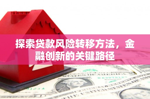 圣安多尼堂区探索贷款风险转移方法，金融创新的关键路径