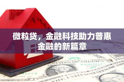 圣安多尼堂区微粒贷，金融科技助力普惠金融的新篇章