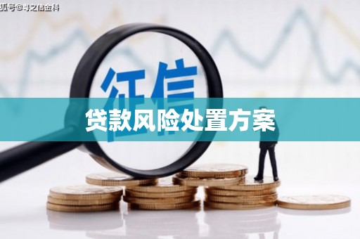 圣安多尼堂区贷款风险处置方案