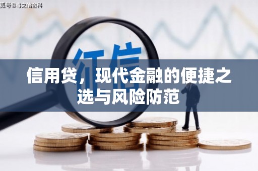 圣安多尼堂区信用贷，现代金融的便捷之选与风险防范