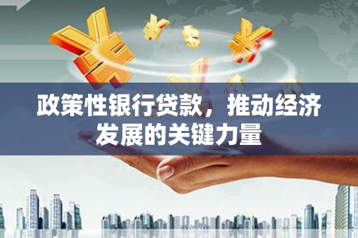 圣安多尼堂区政策性银行贷款，推动经济发展的关键力量