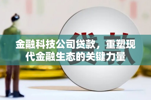 圣安多尼堂区金融科技公司贷款，重塑现代金融生态的关键力量