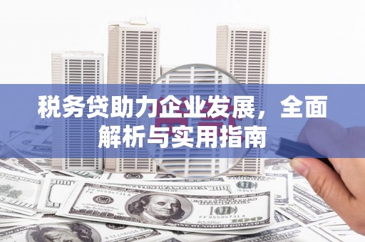 圣安多尼堂区税务贷助力企业发展，全面解析与实用指南