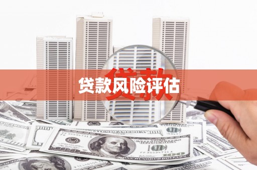 圣安多尼堂区贷款风险评估