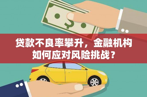 圣安多尼堂区贷款不良率攀升，金融机构如何应对风险挑战？