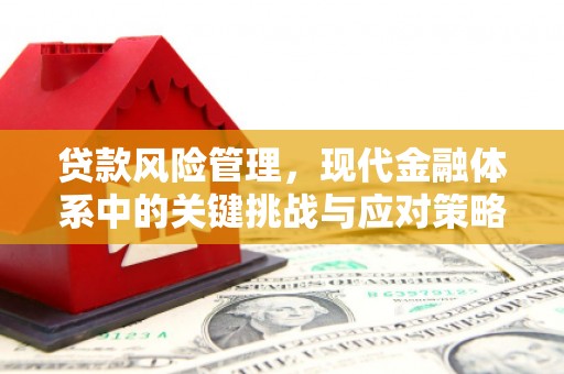 圣安多尼堂区贷款风险管理，现代金融体系中的关键挑战与应对策略