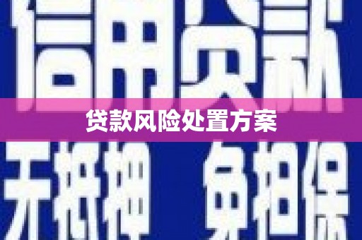 圣安多尼堂区贷款风险处置方案