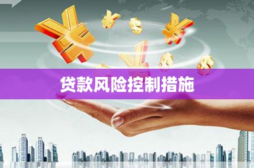圣安多尼堂区贷款风险控制措施