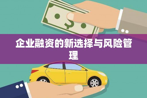 圣安多尼堂区企业融资的新选择与风险管理