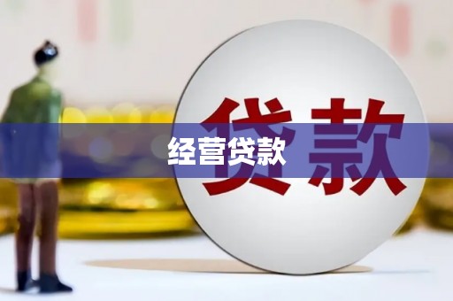 圣安多尼堂区经营贷款