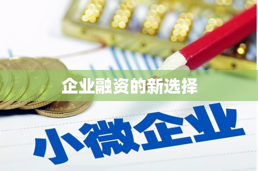 圣安多尼堂区企业融资的新选择
