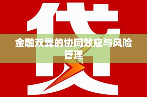 圣安多尼堂区金融双翼的协同效应与风险管理